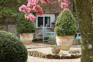 Planters