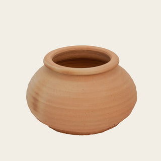 Koronyos