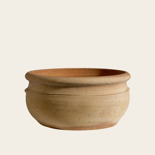 The Bonsai Bowl