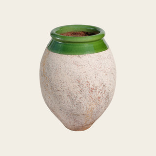 Olive — Green