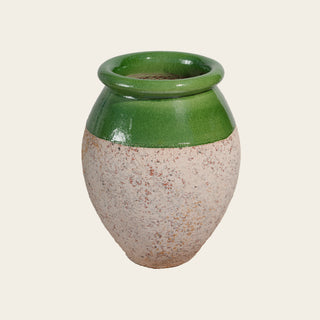Olive — Green