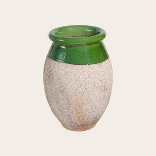 Olive — Green