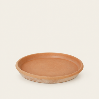 Saucer