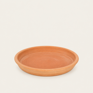 Saucer