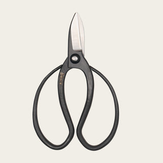 Sentei Garden Scissors