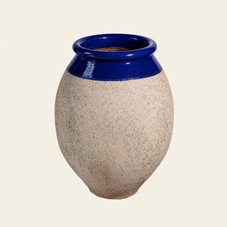 Olive — Majorelle blue
