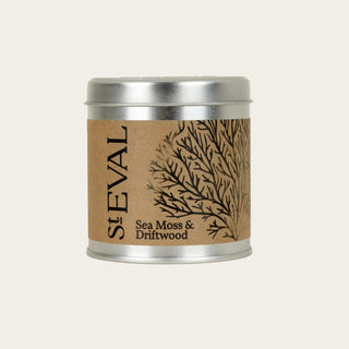 Sea Moss & Driftwood